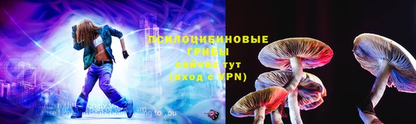 эйфоретик Бородино