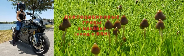 эйфоретик Бородино