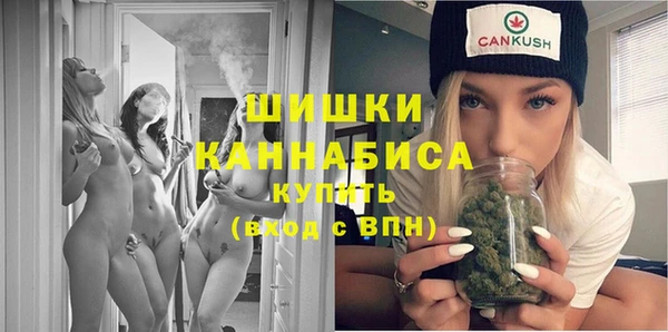 эйфоретик Бородино
